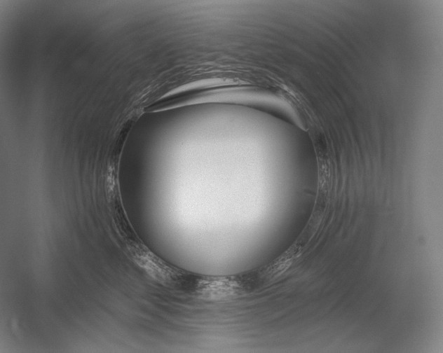 X0000053000621200507221249