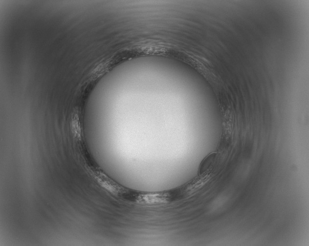 X0000053000622200507221248