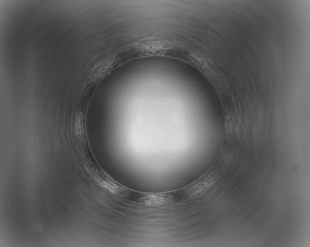 X0000053000623200507221248