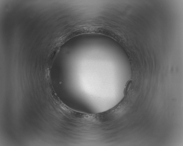 X0000053000624200507221248