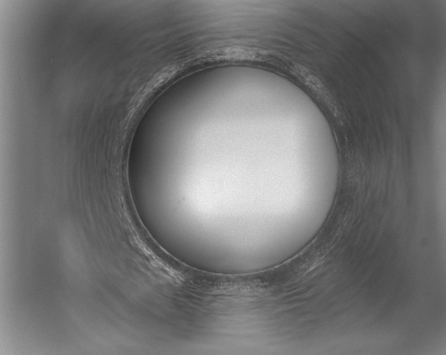 X0000053000625200507221248