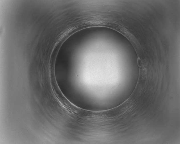 X0000053000626200507221248