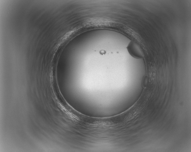 X0000053000629200507221248