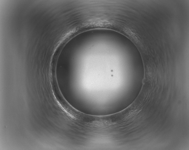 X0000053000630200507221248