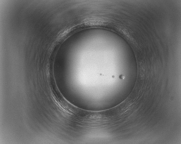 X0000053000631200507221248