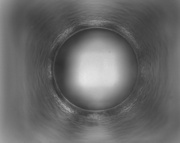 X0000053000633200507221248