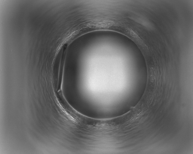 X0000053000634200507221248