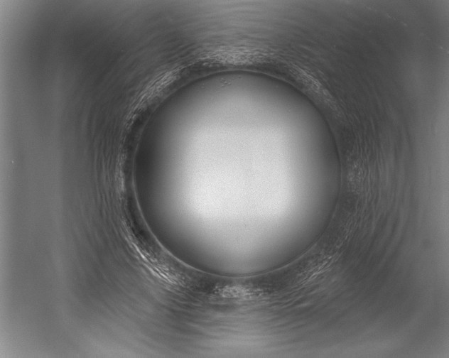 X0000053000635200507221248