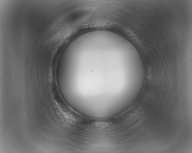 X0000053000636200507221248