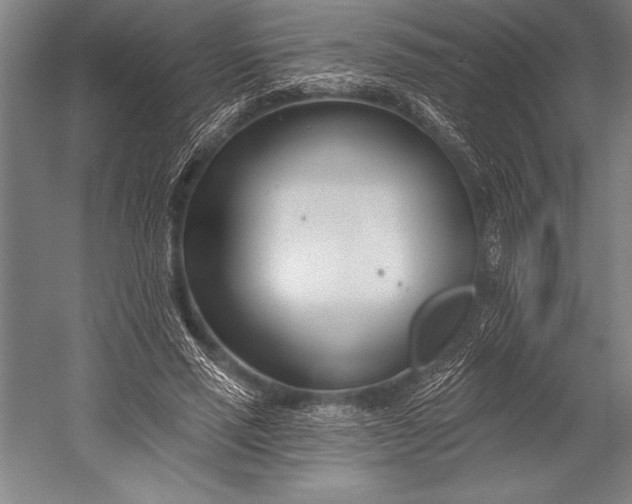 X0000053000637200507221248