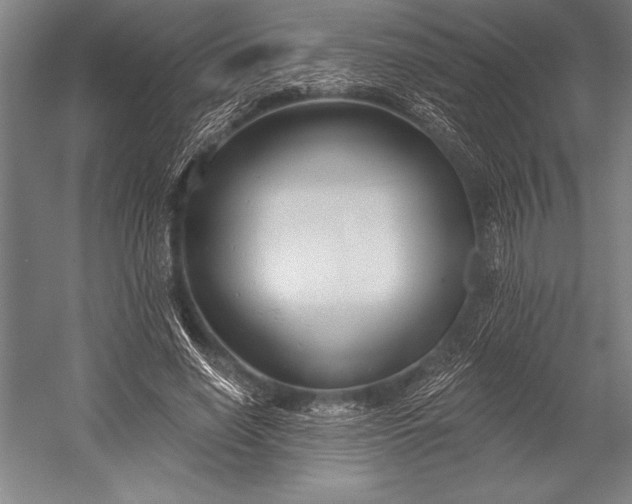 X0000053000638200507221248