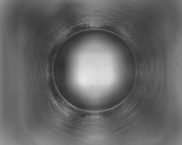 X0000053000639200507221248