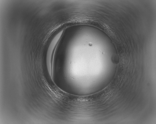 X0000053000640200507221248