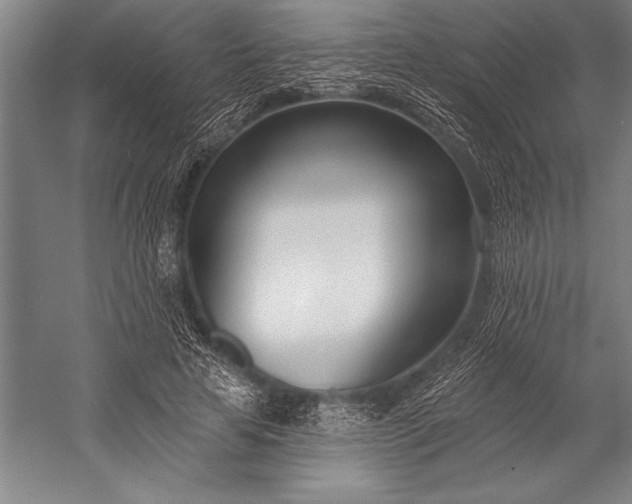 X0000053000641200507221248