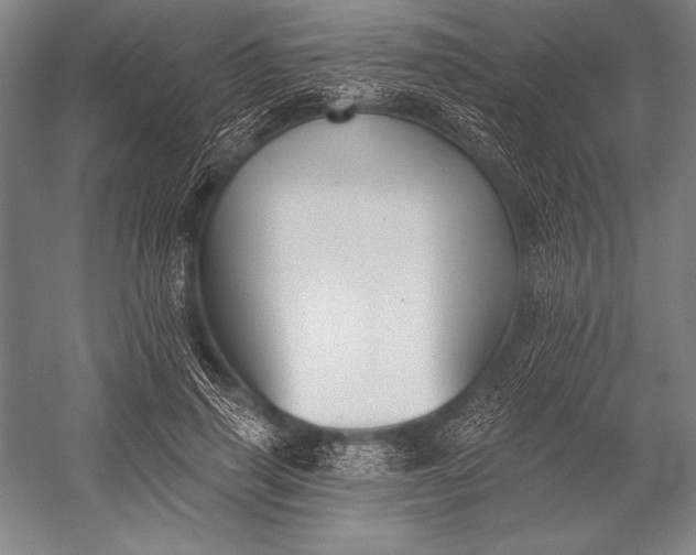 X0000053000645200507221248