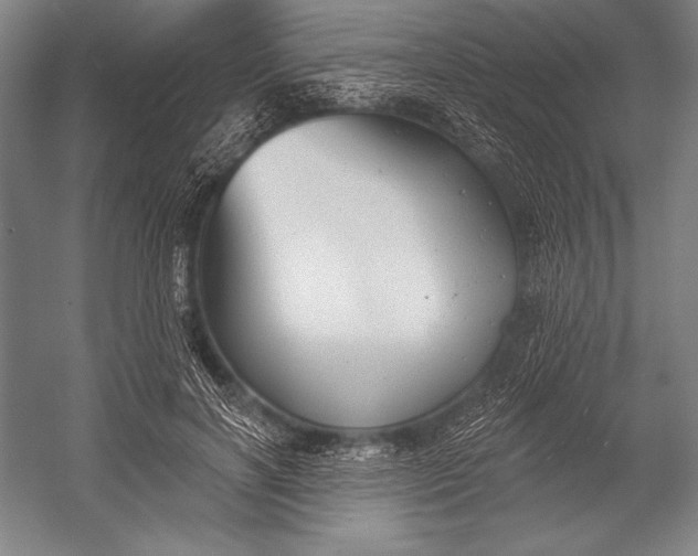 X0000053000646200507221248