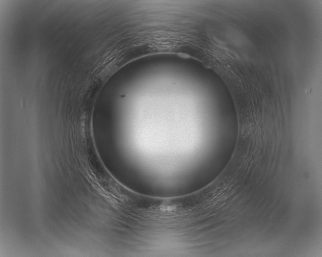 X0000053000647200507221248