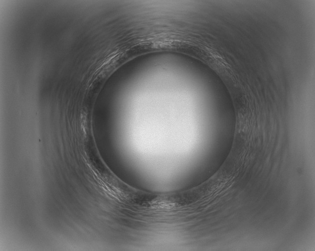 X0000053000648200507221248