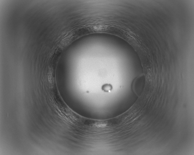 X0000053000651200507221248