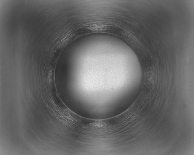 X0000053000652200507221248