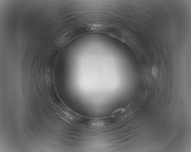 X0000053000653200507221248