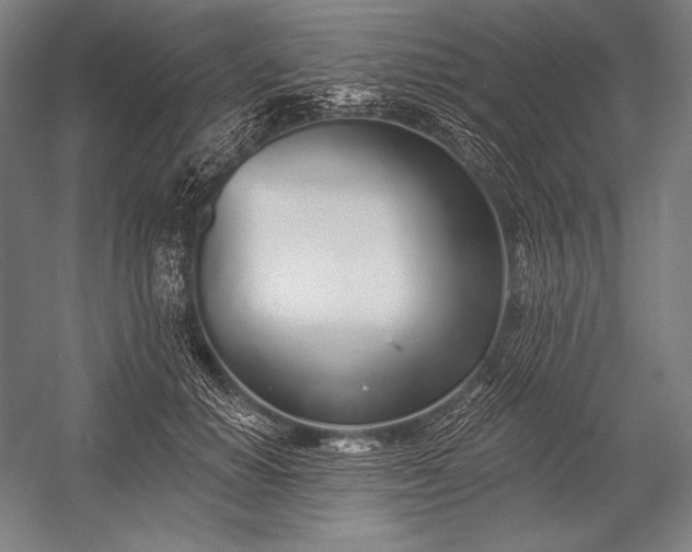 X0000053000654200507221248