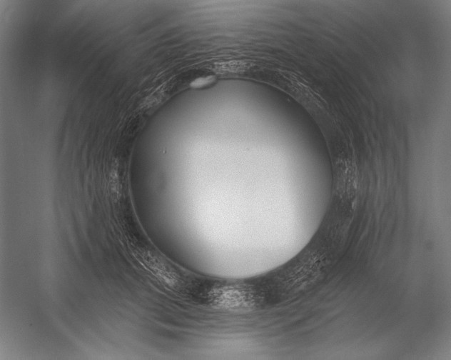 X0000053000655200507221248