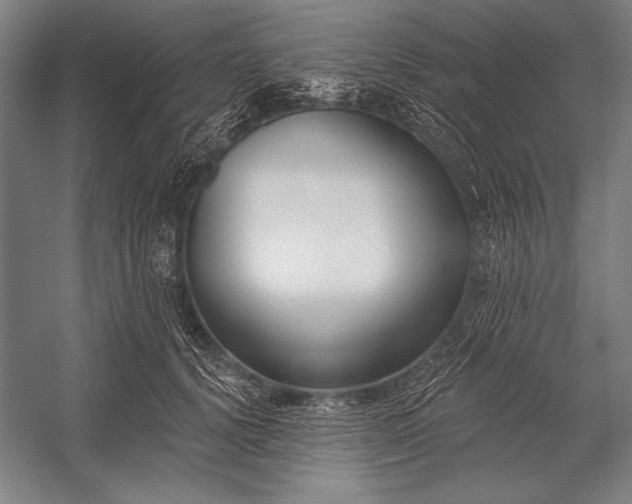 X0000053000656200507221248