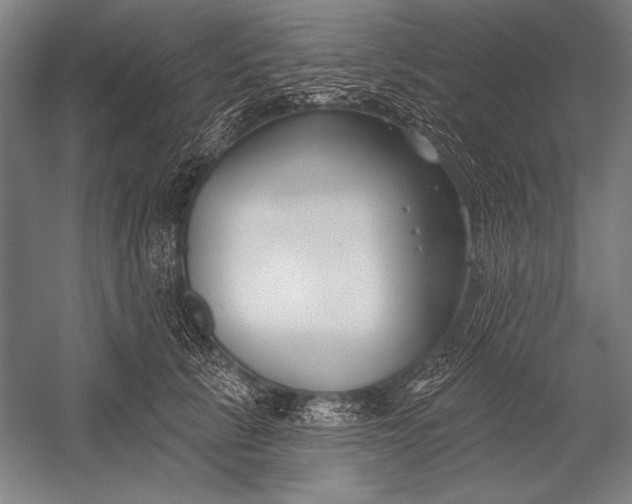 X0000053000657200507221248