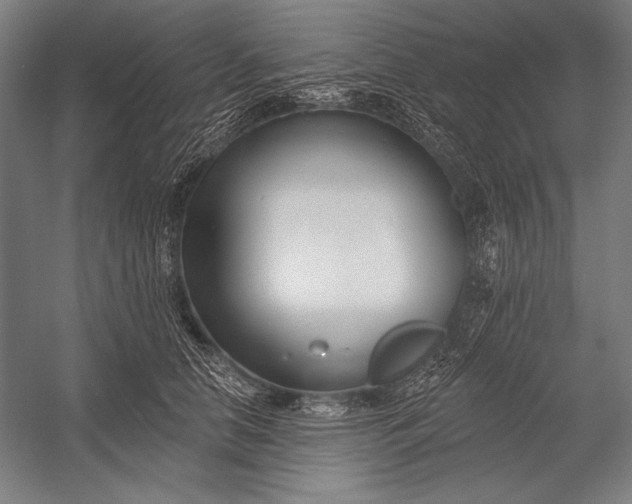 X0000053000658200507221248