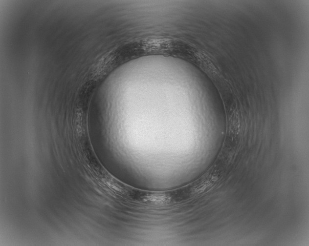 X0000053000659200507221248