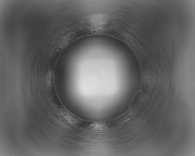 X0000053000660200507221248