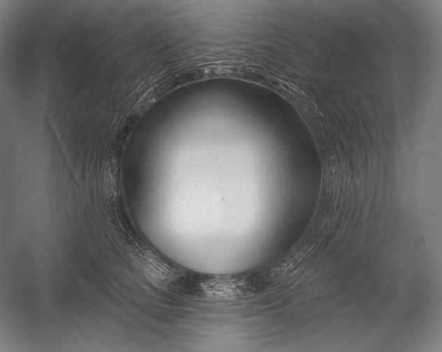 X0000053000661200507221248