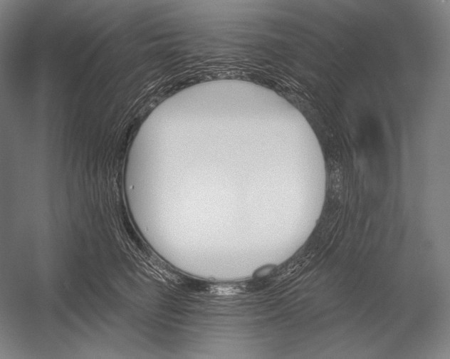 X0000053000662200507221248