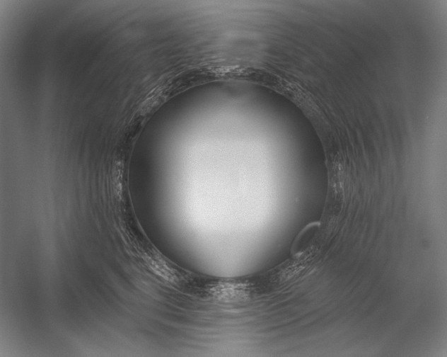 X0000053000664200507221248