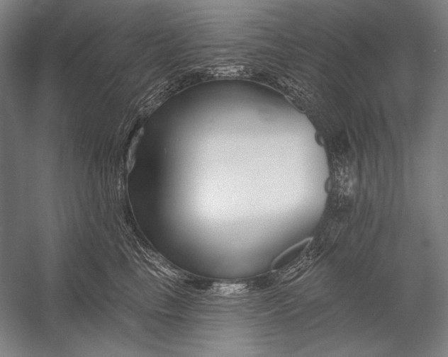 X0000053000665200507221248