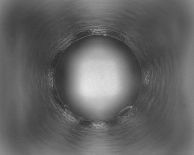 X0000053000666200507221248