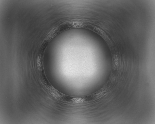 X0000053000667200507221248