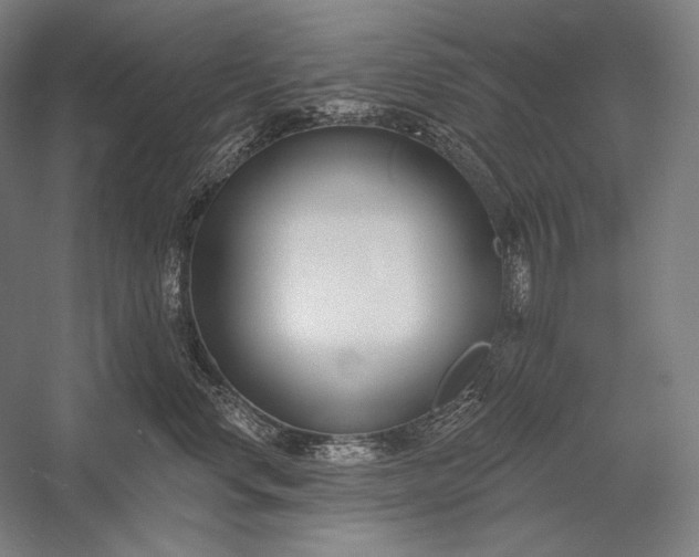 X0000053000668200507221248