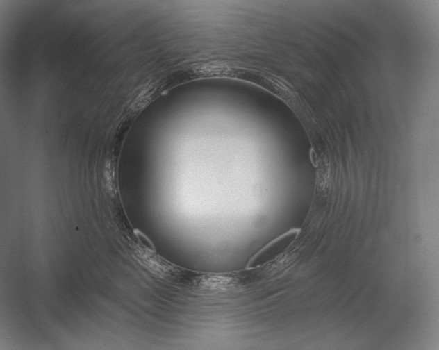 X0000053000669200507221248