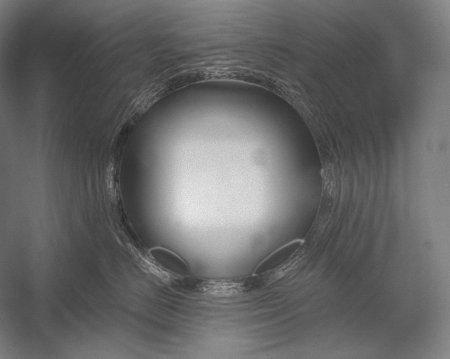 X0000053000670200507221248