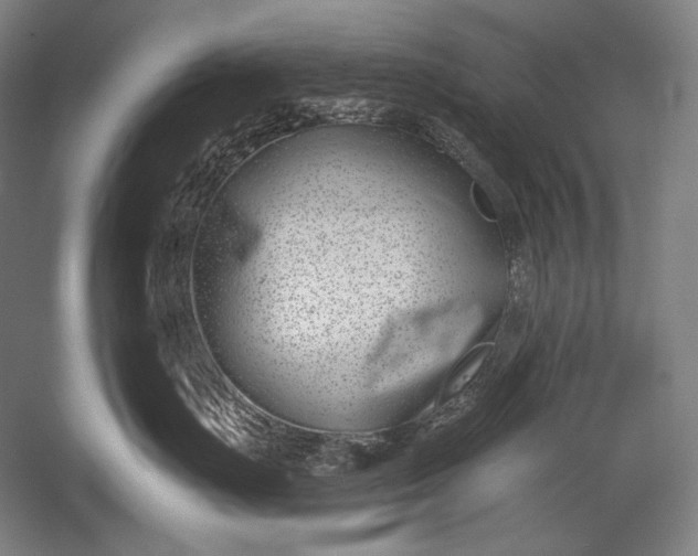 X0000053000671200507221248