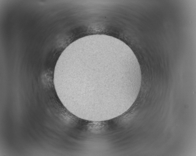 X0000053000672200507221248