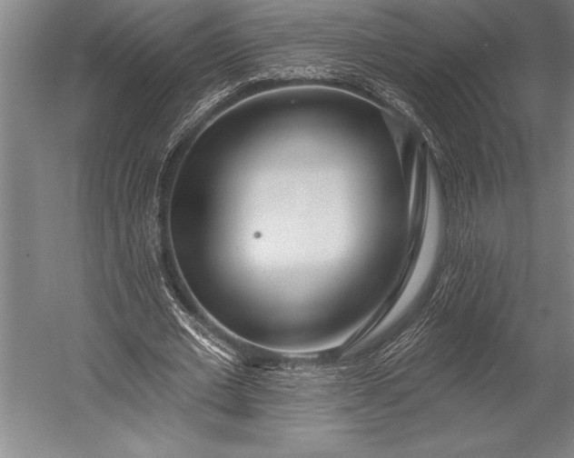 X0000053000677200507221248