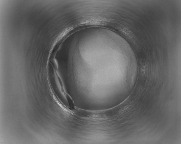 X0000053000678200507221248