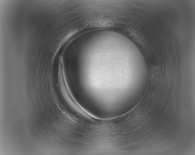 X0000053000679200507221248