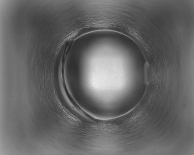 X0000053000681200507221247