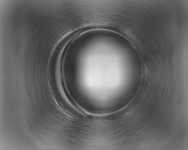 X0000053000684200507221247