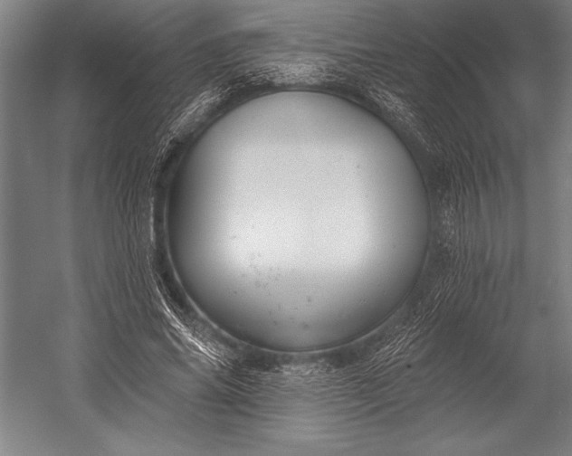 X0000053000686200507221247