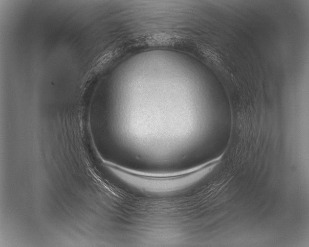 X0000053000687200507221247